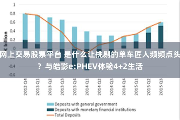 网上交易股票平台 是什么让挑剔的单车匠人频频点头？与皓影e:PHEV体验4+2生活