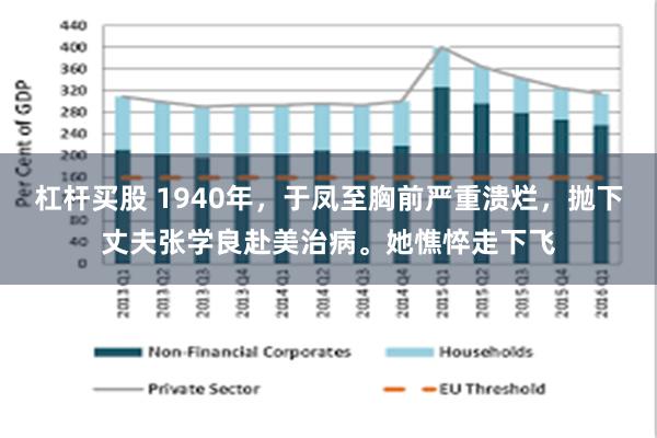 杠杆买股 1940年，于凤至胸前严重溃烂，抛下丈夫张学良赴美治病。她憔悴走下飞