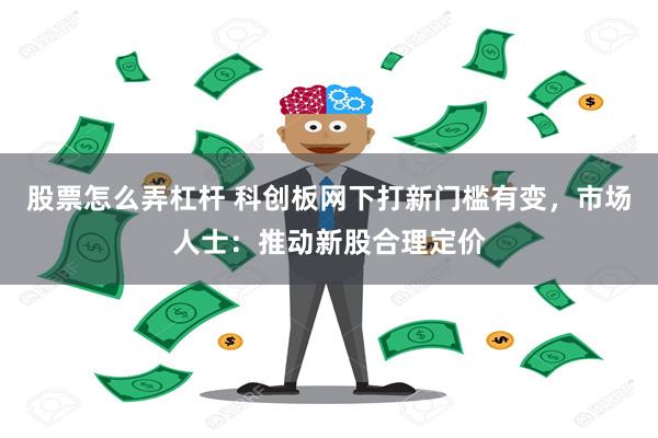 股票怎么弄杠杆 科创板网下打新门槛有变，市场人士：推动新股合理定价