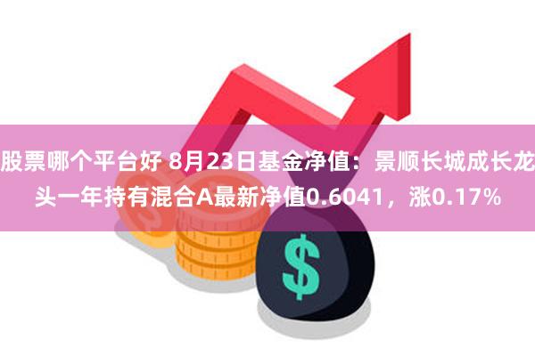 股票哪个平台好 8月23日基金净值：景顺长城成长龙头一年持有混合A最新净值0.6041，涨0.17%