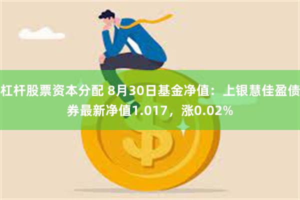 杠杆股票资本分配 8月30日基金净值：上银慧佳盈债券最新净值1.017，涨0.02%