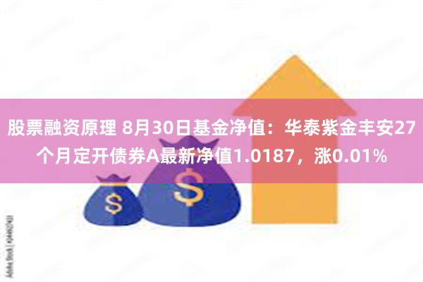 股票融资原理 8月30日基金净值：华泰紫金丰安27个月定开债券A最新净值1.0187，涨0.01%