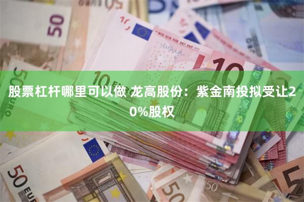 股票杠杆哪里可以做 龙高股份：紫金南投拟受让20%股权