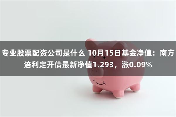 专业股票配资公司是什么 10月15日基金净值：南方涪利定开债最新净值1.293，涨0.09%