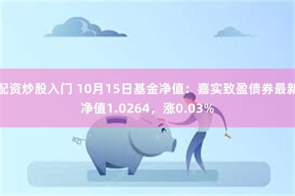 配资炒股入门 10月15日基金净值：嘉实致盈债券最新净值1.0264，涨0.03%