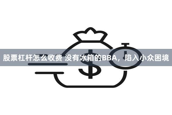 股票杠杆怎么收费 没有冰箱的BBA，陷入小众困境