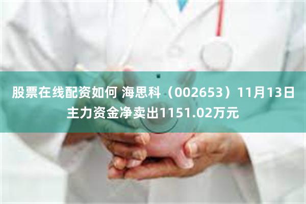 股票在线配资如何 海思科（002653）11月13日主力资金净卖出1151.02万元