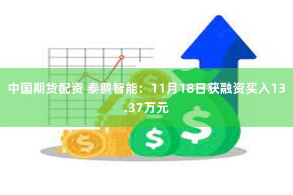 中国期货配资 泰鹏智能：11月18日获融资买入13.37万元