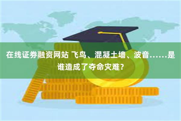 在线证劵融资网站 飞鸟、混凝土墙、波音……是谁造成了夺命灾难？