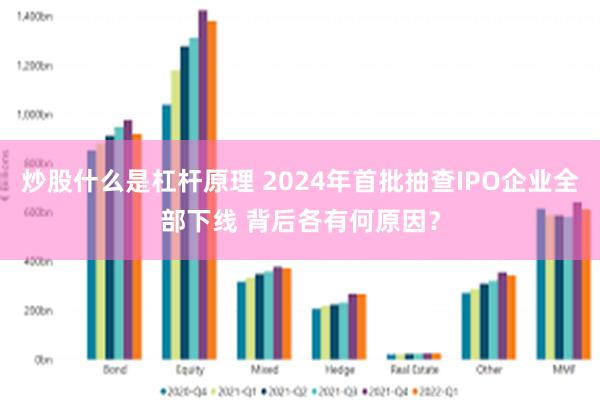 炒股什么是杠杆原理 2024年首批抽查IPO企业全部下线 背后各有何原因？