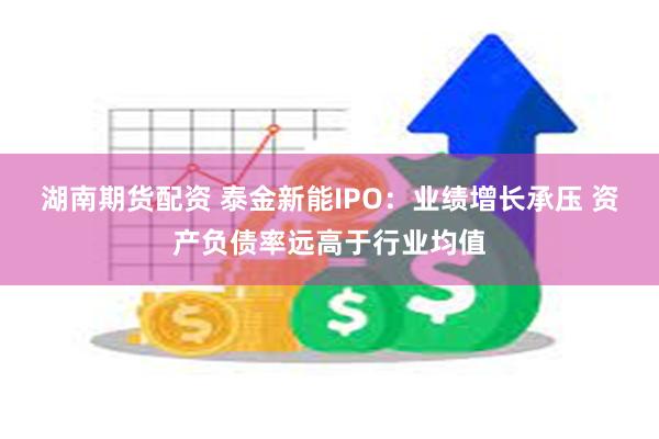 湖南期货配资 泰金新能IPO：业绩增长承压 资产负债率远高于行业均值