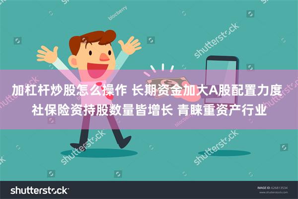 加杠杆炒股怎么操作 长期资金加大A股配置力度 社保险资持股数量皆增长 青睐重资产行业