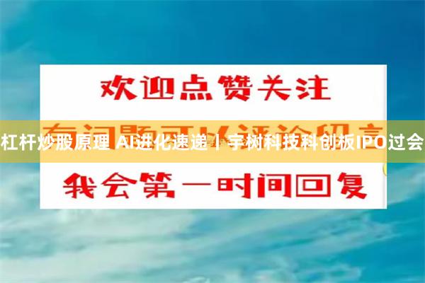 杠杆炒股原理 AI进化速递丨宇树科技科创板IPO过会