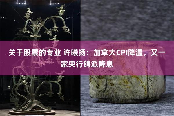 关于股票的专业 许曦扬：加拿大CPI降温，又一家央行鸽派降息