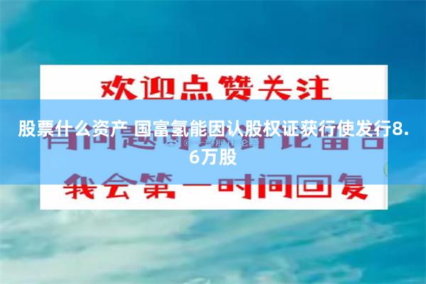 股票什么资产 国富氢能因认股权证获行使发行8.6万股