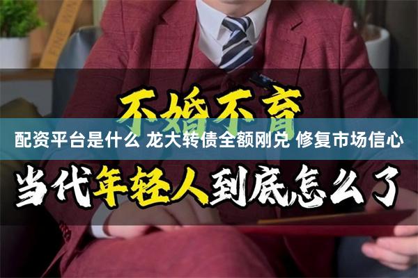 配资平台是什么 龙大转债全额刚兑 修复市场信心
