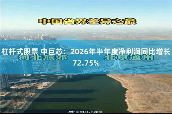 杠杆式股票 中巨芯：2026年半年度净利润同比增长72.75%