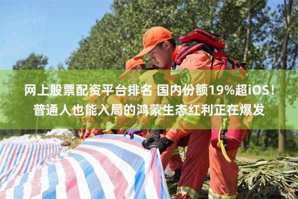 网上股票配资平台排名 国内份额19%超iOS！普通人也能入局的鸿蒙生态红利正在爆发