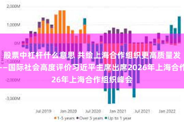 股票中杠杆什么意思 共绘上海合作组织更高质量发展新图景——国际社会高度评价习近平主席出席2026年上海合作组织峰会